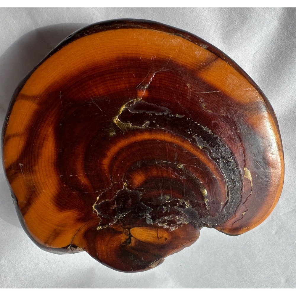 Vtg The Messing Handmade Wood Slab Belt Buckle Natural Grain Tree Slice western